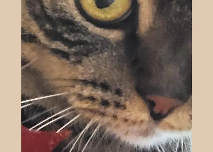 Plug Inn Montmartre By Hiphophostels Paris